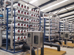 1764309631295725.jpg 1.jpg